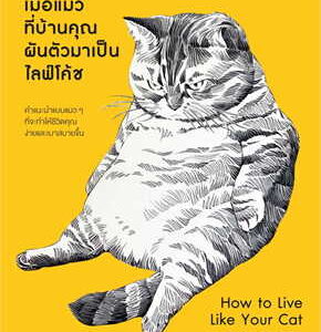 สอนความเข้าใจภาษี